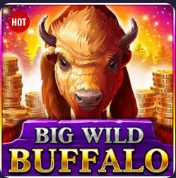 Big Wild Buffalo